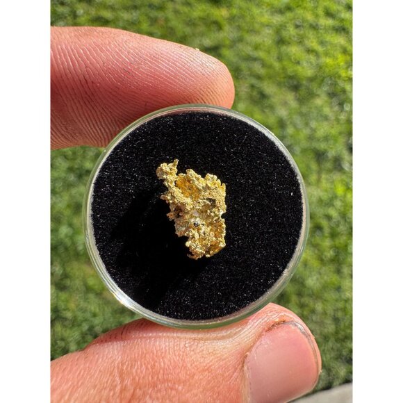 California Native Gold Crystal - 0.93 grams - Picture 4 of 5